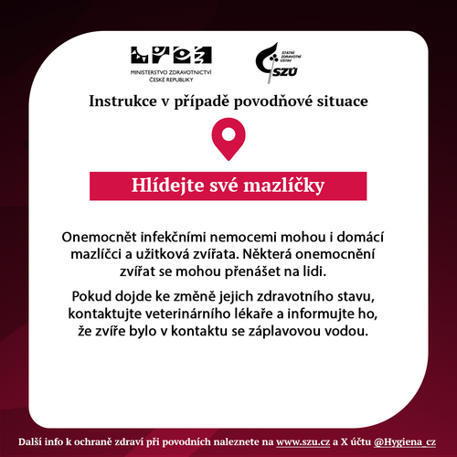 Grafika povodn 6